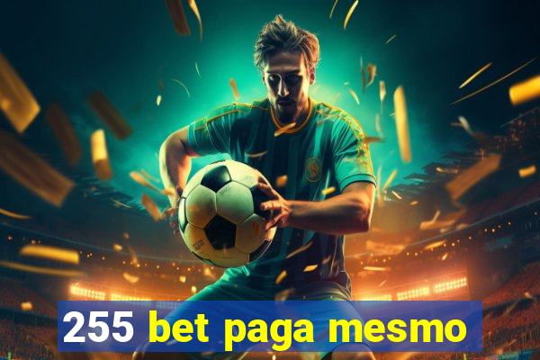 255 bet paga mesmo